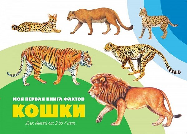 Обложка книги «Кошки», ISBN 9785906843579