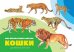 Обложка книги «Кошки», ISBN 9785906843579