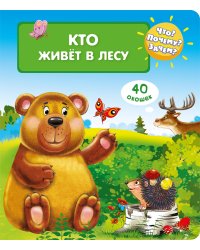 Что? Почему? Зачем? Кто живёт в лесу (40 окошек)