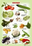 Плакат "Овощи"