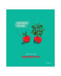 Тетрадь предметная "Маленькие детали. Литература", А5, 48 листов, линия