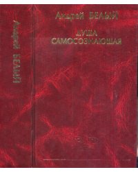 Душа самосознающая