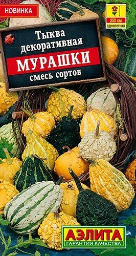 Семена. Тыква декоративная "Мурашки", смесь сортов, однолетник (вес: 1 г)