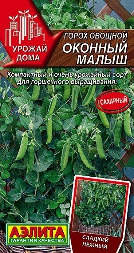 Семена. Горох овощной "Оконный малыш" (5 штук)