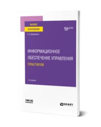 Информационное обеспечение управления. Практикум. Учебное пособие для вузов