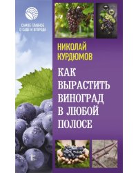 Как вырастить виноград в любой полосе