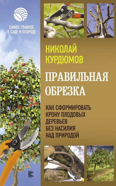Правильная обрезка. Как сформировать крону плодовых деревьев без насилия над природой