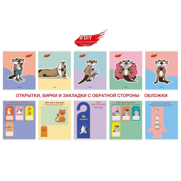 Тетрадь DIY Collection. Выдры, А5, 48 листов, клетка