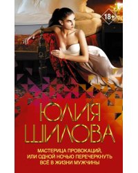 Мастерица провокаций, или Одной ночью перечеркнуть все в жизни мужчины