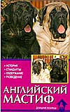 Домашние любимцы Английский мастиф. История. Стандарт. Содержание. Разведение