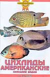 Золотые советы по уходу и содержанию Цихлиды американские. Описание видов