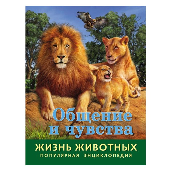 Общение и чувства