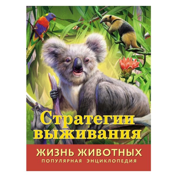 Стратегии выживания