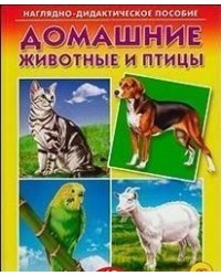 Домашние животные и птицы. Наглядно-дидактическое пособие