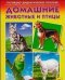 Обложка книги «Домашние животные и птицы. Наглядно-дидактическое пособие»