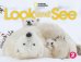 Look and See 2. Big Book Anthology