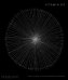 Vitamin D3: Today's Best in Contemporary Drawing