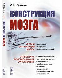 Конструкция мозга