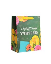 Комплект пакетов подарочных "Лучшему учителю", 18x23x10 см (6 штук в комплекте) (количество товаров в комплекте: 6)