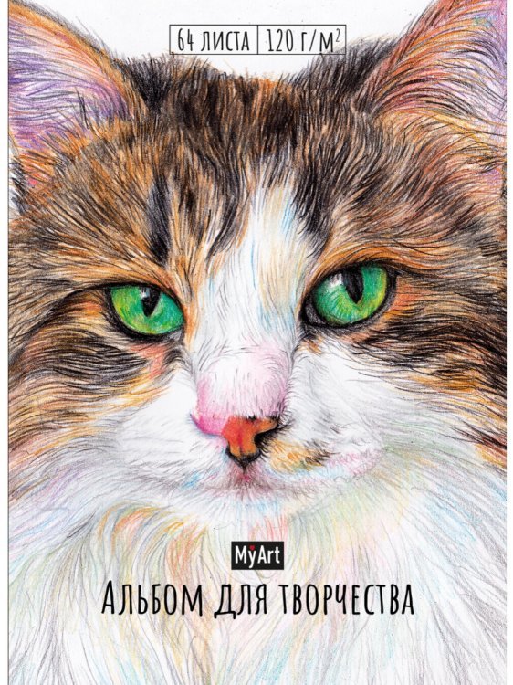 Альбом для творчества. Кот
