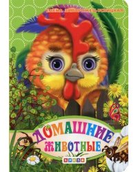 Домашние животные