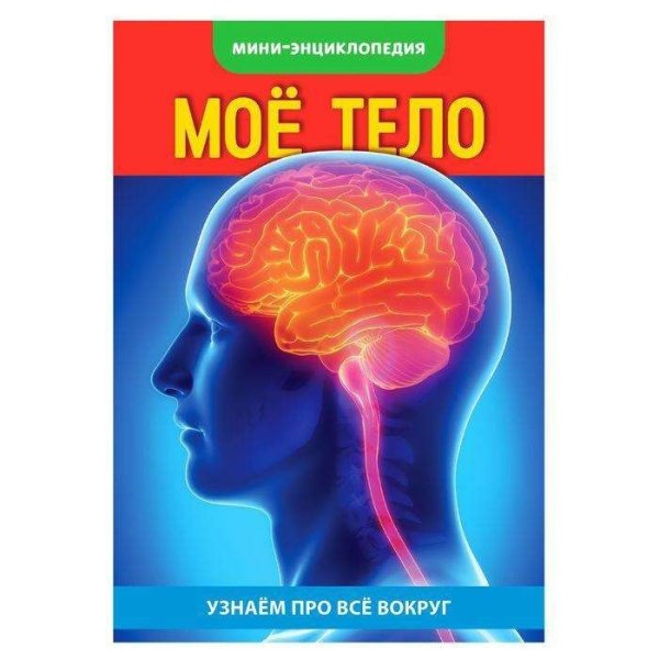 Мини-энциклопедия. Мое тело