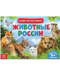Обучающая книжка. Животные России