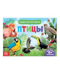 Обучающая книжка. Птицы