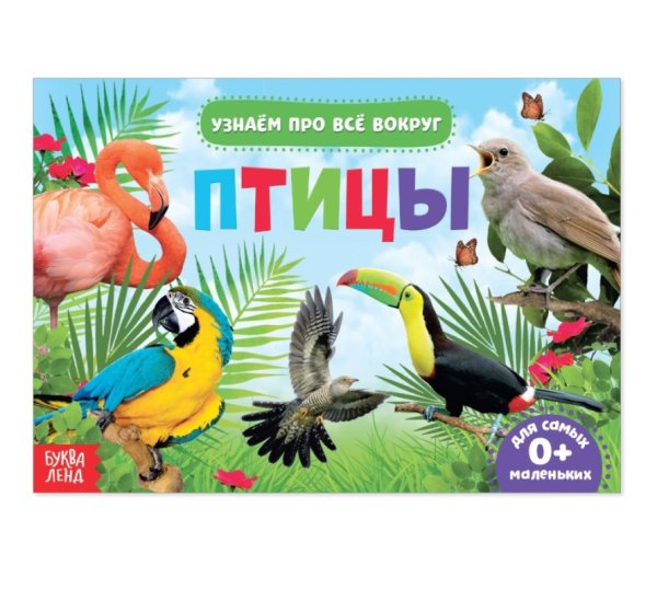 Обучающая книжка. Птицы