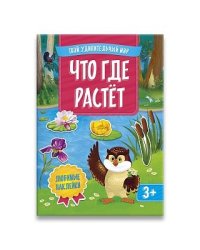 Что где растет