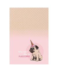 Записная книжка "Pugicorn", А5, 80 листов
