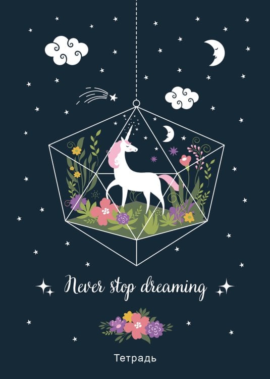 Тетрадь общая. Never stop dreaming!