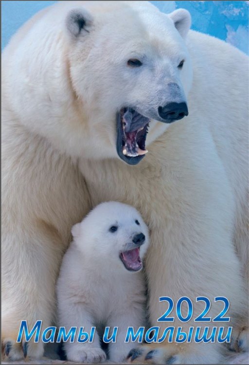 Обложка книги «Календарь на спирали «Мамы и малыши. Маркет» на 2022 год»