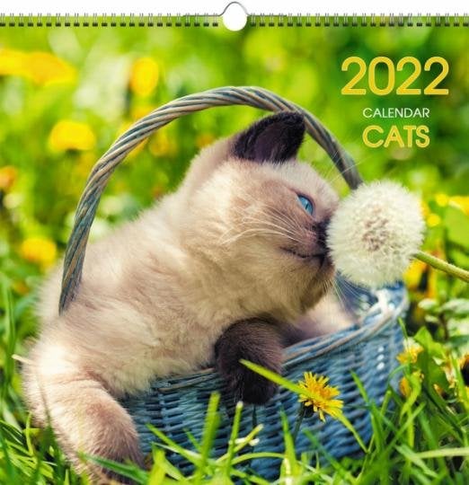 Календарь на 2022 год Домашние любимцы 4, квадратный, средний