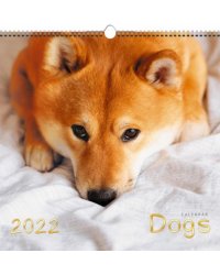 Календарь на 2022 год Домашние любимцы 5, квадратный, средний