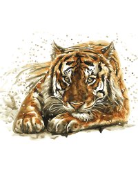 Набор для раскрашивания по номерам "Тигр. Акварель", 40x50 см