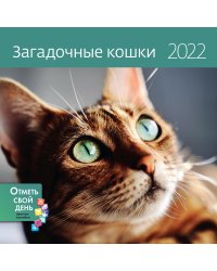 Загадочные кошки. Календарь-органайзер настенный на 2022 год