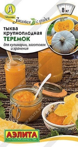 Семена. Тыква крупноплодная "Теремок", среднеспелый (вес: 2 г)