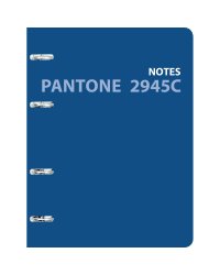 Тетрадь на кольцах "Pantone line. No. 3", А5, 120 листов, клетка