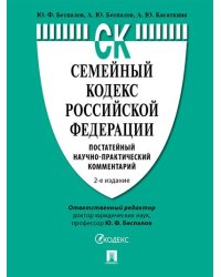 Семейный кодекс Российской Федерации. Постатейный научно-практический комментарий