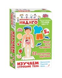 Изучаем строение тела
