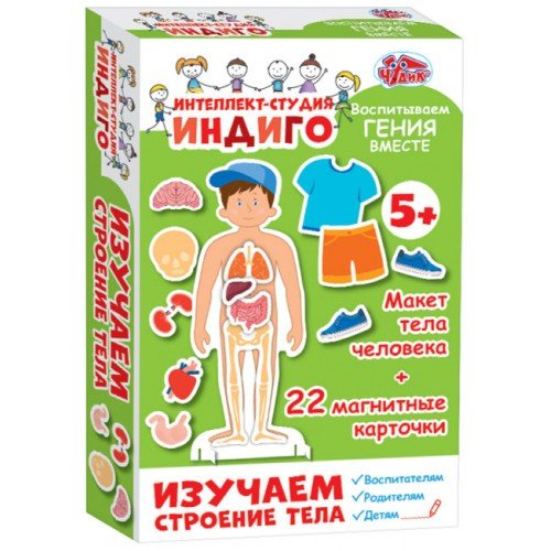 Изучаем строение тела