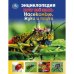 Насекомые, жуки и пауки. Хочу все знать. Энциклопедия