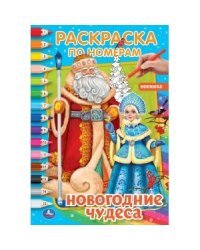 Новогодние чудеса. Первая раскраска по номерам