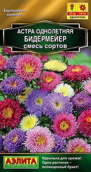 Семена. Астра "Бидермейер", смесь сортов, 0,2 г