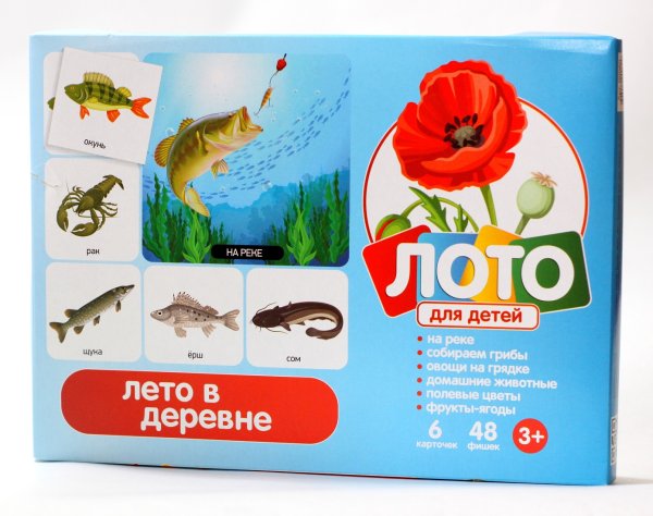 Обложка книги «Лото "Лето в деревне"»