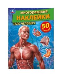 Тело человека. Активити многоразовыми наклейками