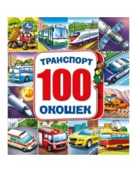 Профессии. Энциклопедия 100 секретных окошек