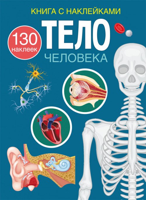 Тело человека. Книга с наклейками (130 наклеек)