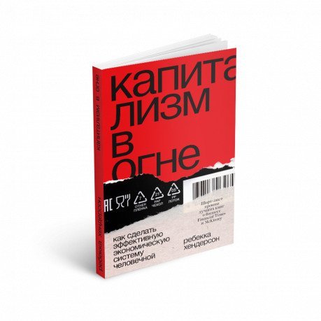 Капитализм в огне. Как сделать эффективную экономическую систему человечной Капитализм в огне. Как сделать эффективную экономическую систему человечной
